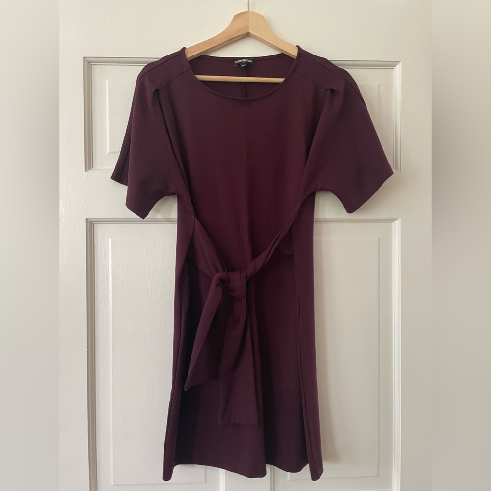Express Maroon Tie Waist Mini Dress